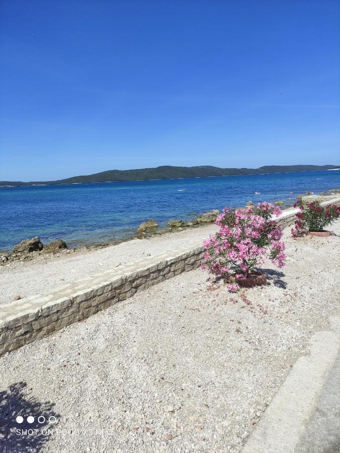 Apartmani Lana Šibenik Exteriér fotografie