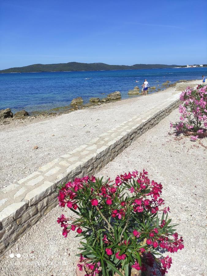 Apartmani Lana Šibenik Exteriér fotografie